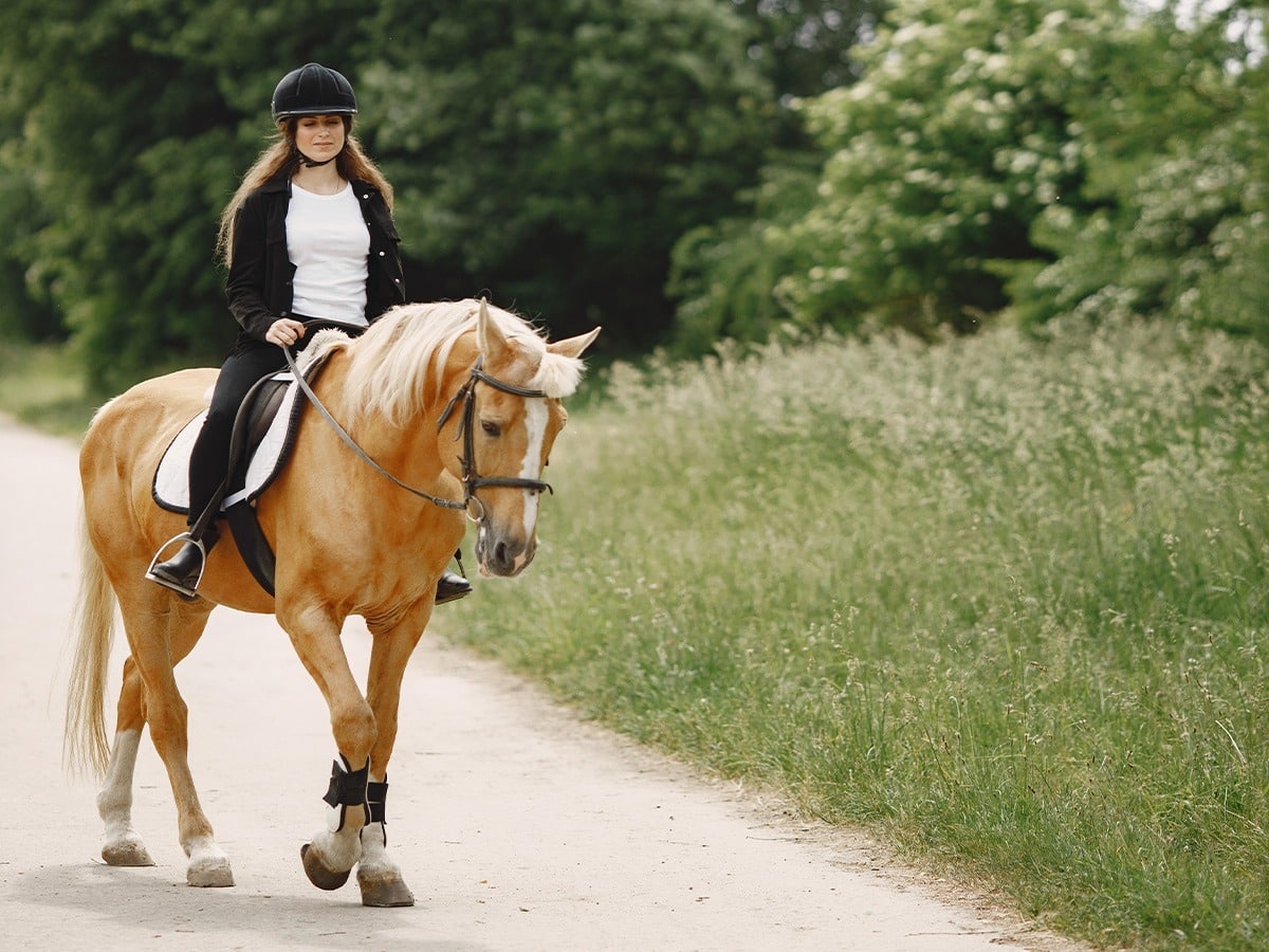 Randonnée équestre près de Saint-Symphorien-de-Mahun : arpentez les sentiers à cheval