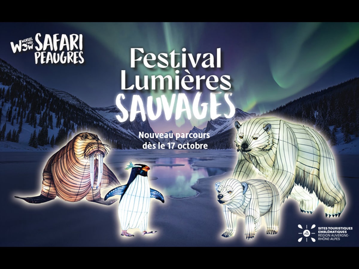 Les Lumières Sauvages reviennent près des Gîtes DBM dès le 17 octobre